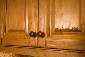 Kitchen_Morning_Star_2005_4